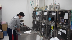 竜之介動物病院 (3).JPG